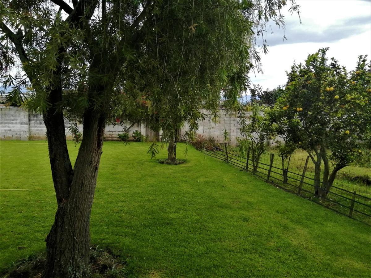 Chester'S B&B Tababela Luaran gambar